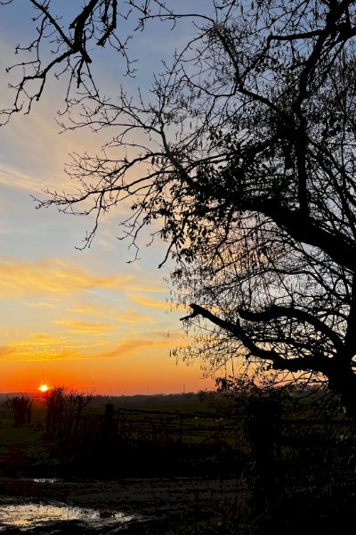 The Soft Beginnings of Spring: Celebrating the Spring Equinox