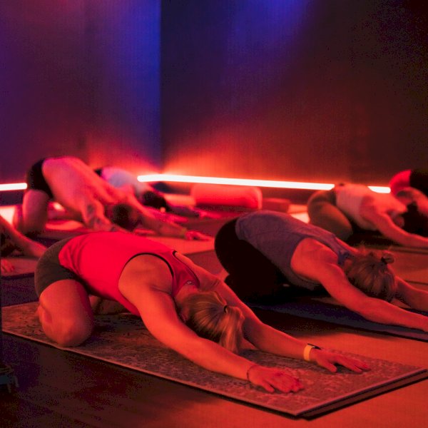 Hot Yoga 26 2 with Yoga Nidra workshop with Ayse Margossian at New Energy Yoga in Winchester, Hampshire