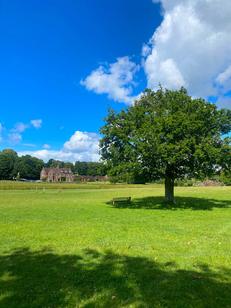 Burley Manor seen from a distance